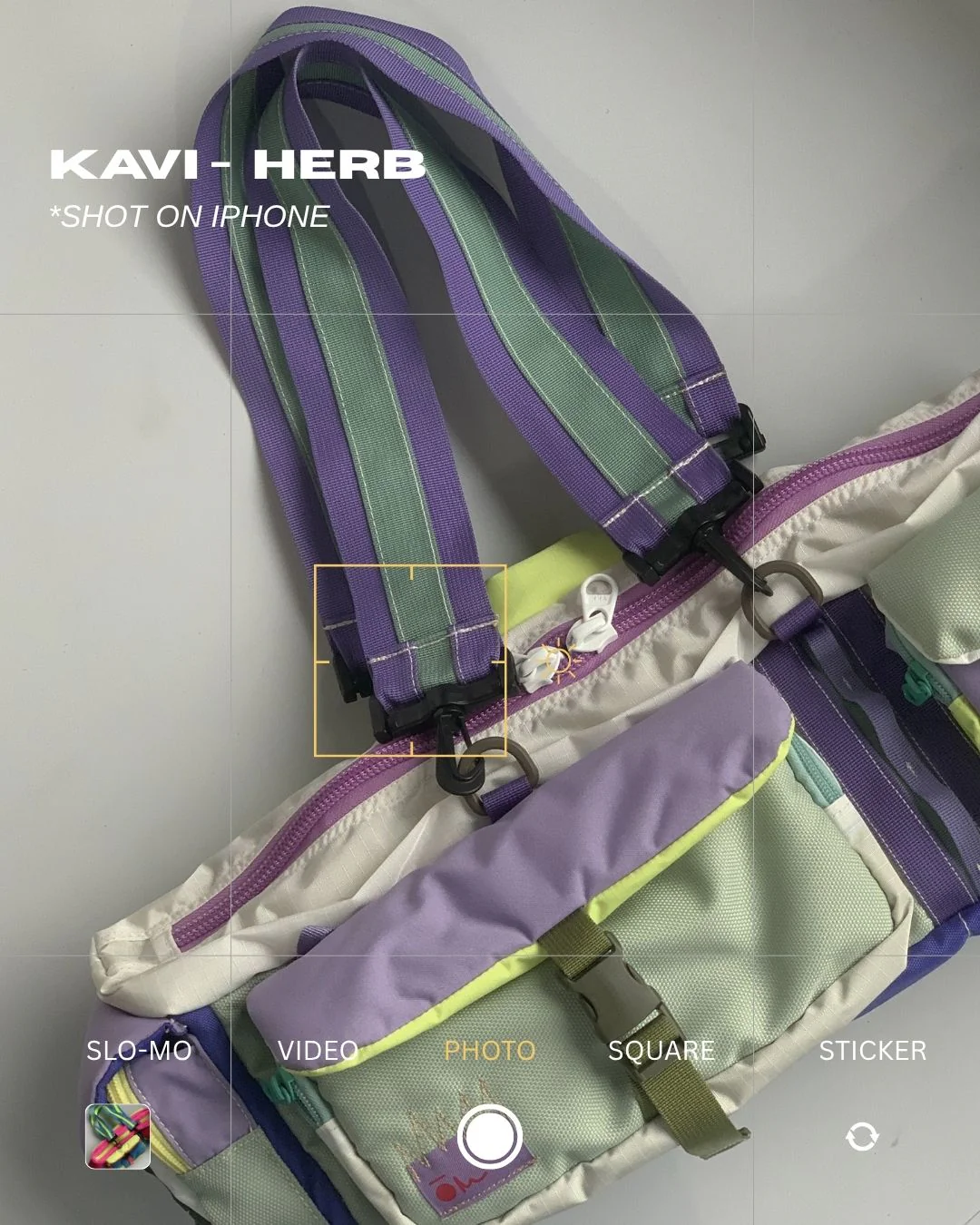 KAVI - Herb - Image 5