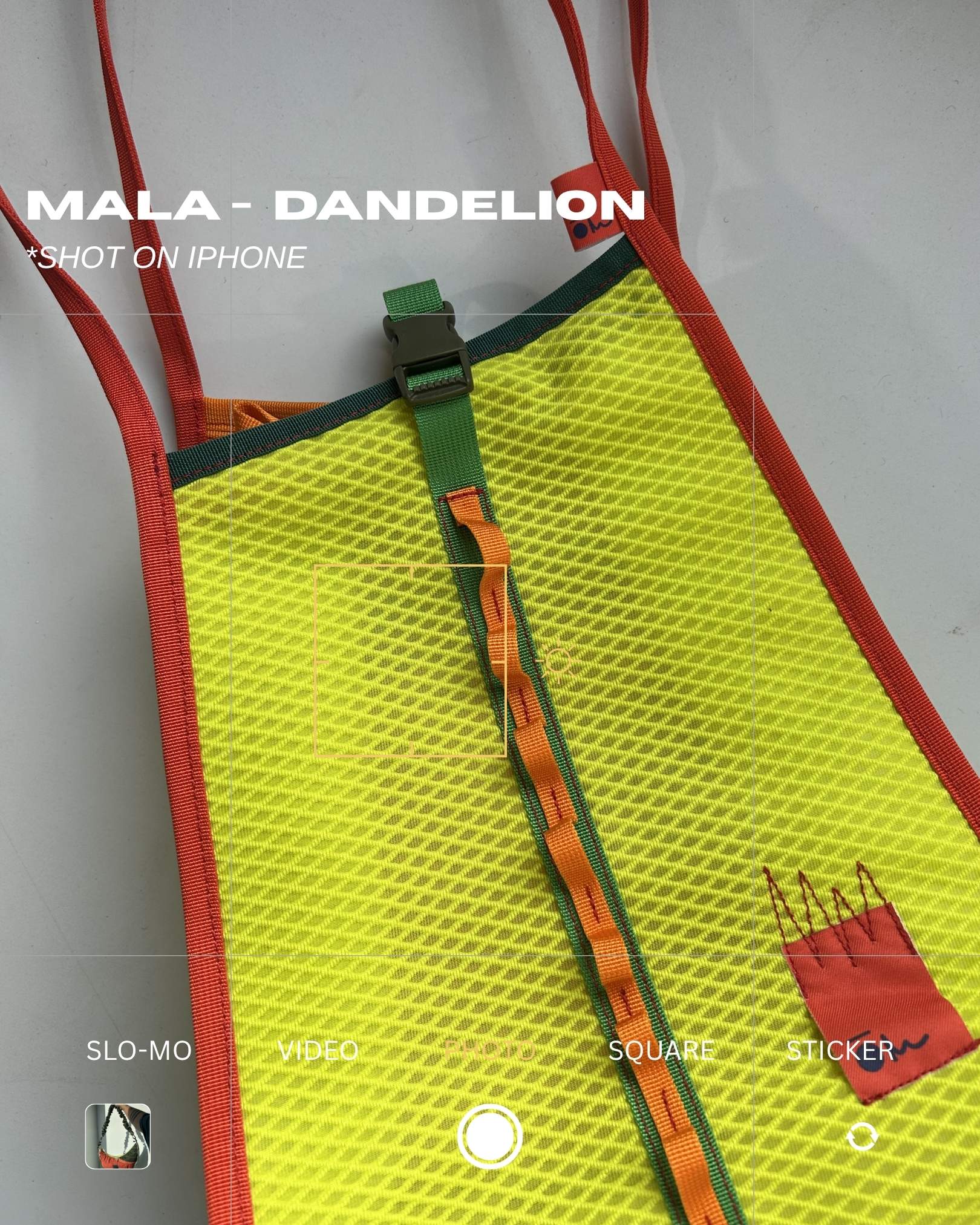 MALA - Dandelion - Image 5